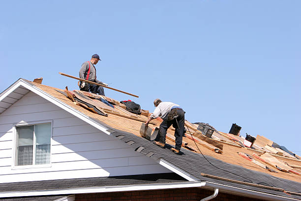 Best Roof Installation  in Tucson Mountains, AZ